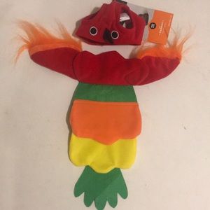 Halloween costumes for cat 🐈 🎃